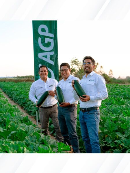 AGP SEMILLAS AGRIEXPO PERU 2026