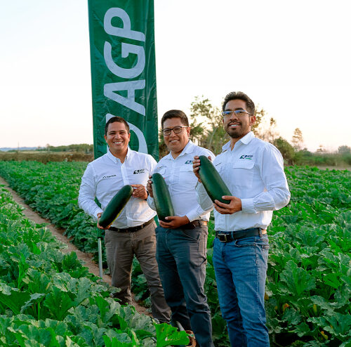 AGP SEMILLAS AGRIEXPO PERU 2026