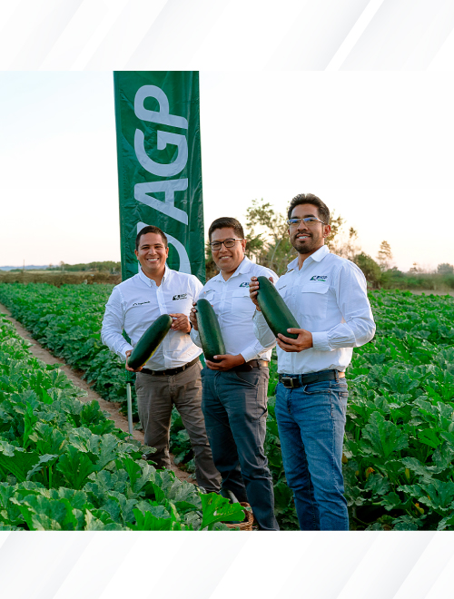 AGP SEMILLAS AGRIEXPO PERU 2026